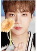 Dicon D'Festa Nu'Est - Jr - 192pg Deco Book w/  4 Deco Stickers + 5pc Photo Card Set [Import] 