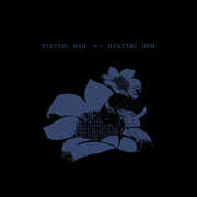 Digital Ash In A Digital Urn , Bright Eyes