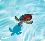 Allsop 31425 Naturesmart Mouse Pad - Turtle 