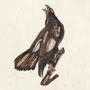 Book Of Bad Decisions , Clutch