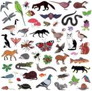 Island of Noise , Modern Nature