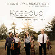 String Quartet in G major , Steven Dann