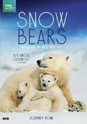 Snow Bears