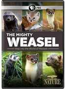 NATURE: The Mighty Weasel 