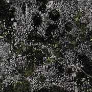 Infest The Rats Nest (live At Red Rocks 2022) , King Gizzard and the Lizard Wizard