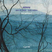 Alchemy - Alex De Taeye & Lucie Vellere , Trio Spilliaert