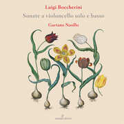 Flute Concertos , Gaetano Nasillo