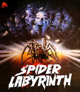 The Spider Labyrinth , Paola Rinaldi