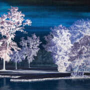 Last Quiet Place , Ingrid Laubrock