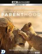 Parenthood Narrated By Sir David Attenborough - All-Region UHD [Import] 