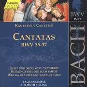 Sacred Cantatas BWV 35 36 37 , Helmuth Rilling