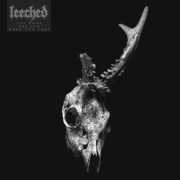 You Took The Sun When You Left , Leeched