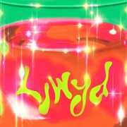 Luminous - incl. Booklet [Import] , LLWYD