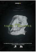 About Tigers And Quixotes 