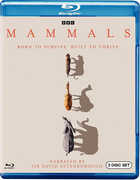 Mammals 