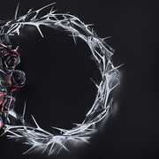 DUAL (Dusk Version) - Black Vinyl , The Rose