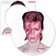 David Bowie Aladdin Sane 450 pc Picture Disc Puzzle 