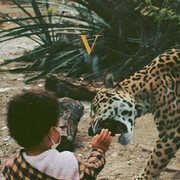 V , Unknown Mortal Orchestra