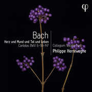 Erz Und Mund Und Tat Und Leben - Cantatas, BWV , Philippe Herreweghe