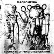 Segments Of Fractured Cranium , Macromenia
