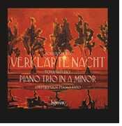 Tchaikovsky: Piano Trio & Schoenberg: Verklarte Nacht , Amsterdam Piano Trio