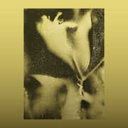 1983 , Flying Lotus