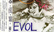 Evol , Sonic Youth