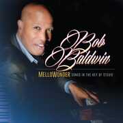 Mellowonder- Songs In The Key Of Stevie , Bob Baldwin