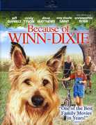 Because of Winn-Dixie , Dave Matthews