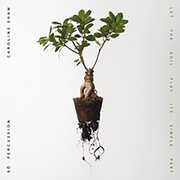 Let The Soil Play Its Simple Part