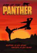 Day of the Panther , Edward John Stazak