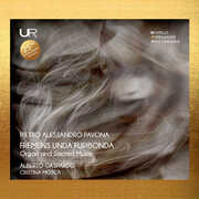 Fremens Unda Furibonda - Organ & Sacred Music , Alberto Gaspardo