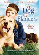 A Dog of Flanders [Import] , David Ladd