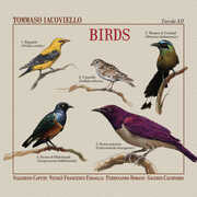 Birds , Tommaso Iacoviello