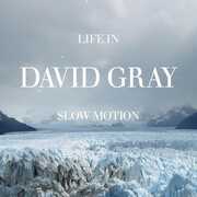 Life in Slow Motion , David Gray