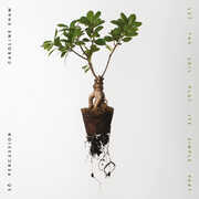 Let The Soil Play Its Simple Part , Caroline Shaw & So Percussion