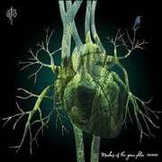 Members Of The Green Phlox [Import] , Martin Rubashov