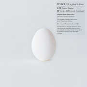 A Ghost Is Born (Deluxe Edition) , Wilco