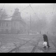 Perseverantia , Vadim Neselovskyi