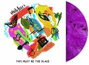This Must Be The Place , Apollo Brown