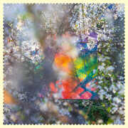 Sixteen Oceans , Four Tet