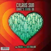 What's Going On / What Color Is Love , Citrus Sun