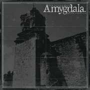 Our Voices Will Soar Forever , Amygdala
