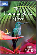 NATURE: The Hummingbird Effect 