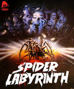 The Spider Labyrinth , Paola Rinaldi