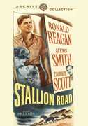 Stallion Road , Peggy Knudsen