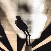 Afluents [Import] , Pantaleo