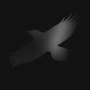 Odins Raven Magic , Sigur Ros
