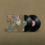 Goodtime Charlie , Mick Flannery