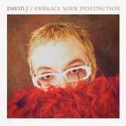 Embrace Your Dysfunction , David J